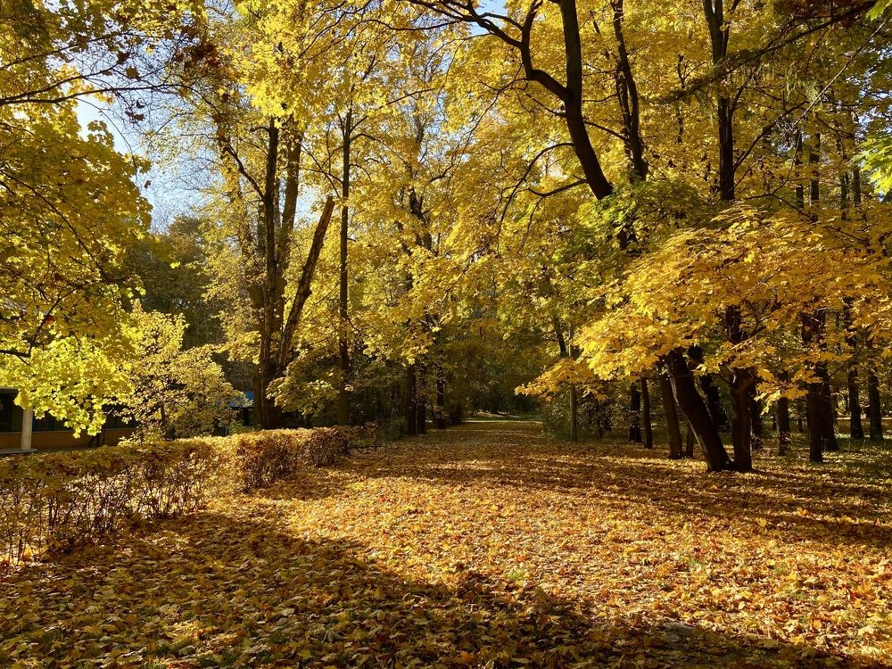 Photograph by Ирина Швейнова