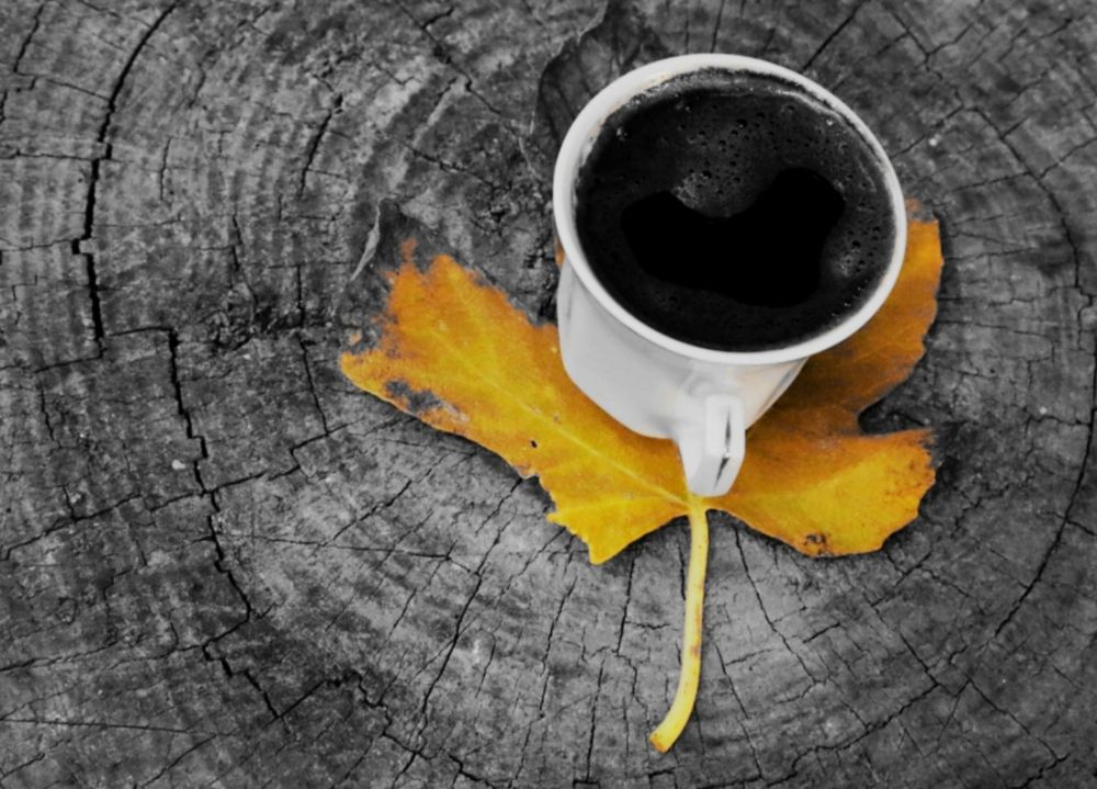 Фотография автора Tahani Almarafi