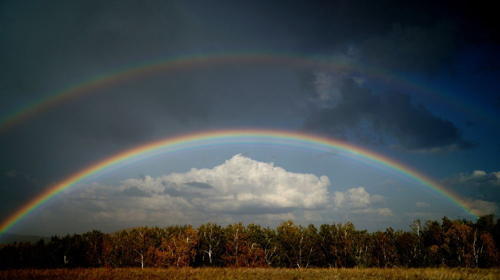 Photograph by Niyaz Mirhaydarov