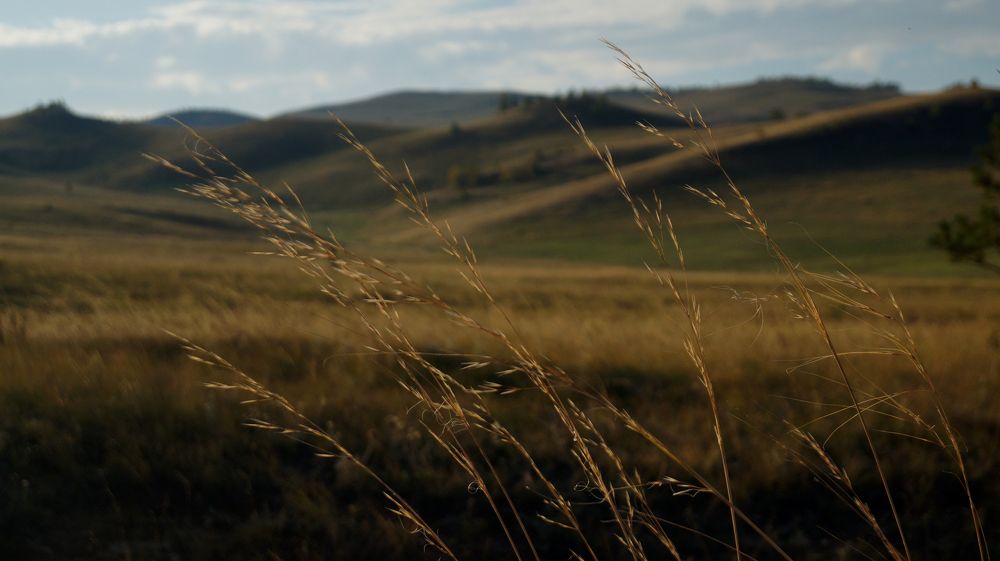 Photograph by Niyaz Mirhaydarov