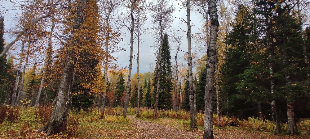 Photograph by Наталья