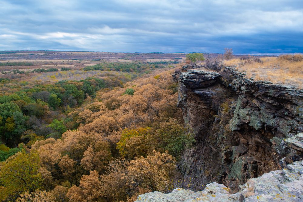Photograph by Дмитрий Тютюнник