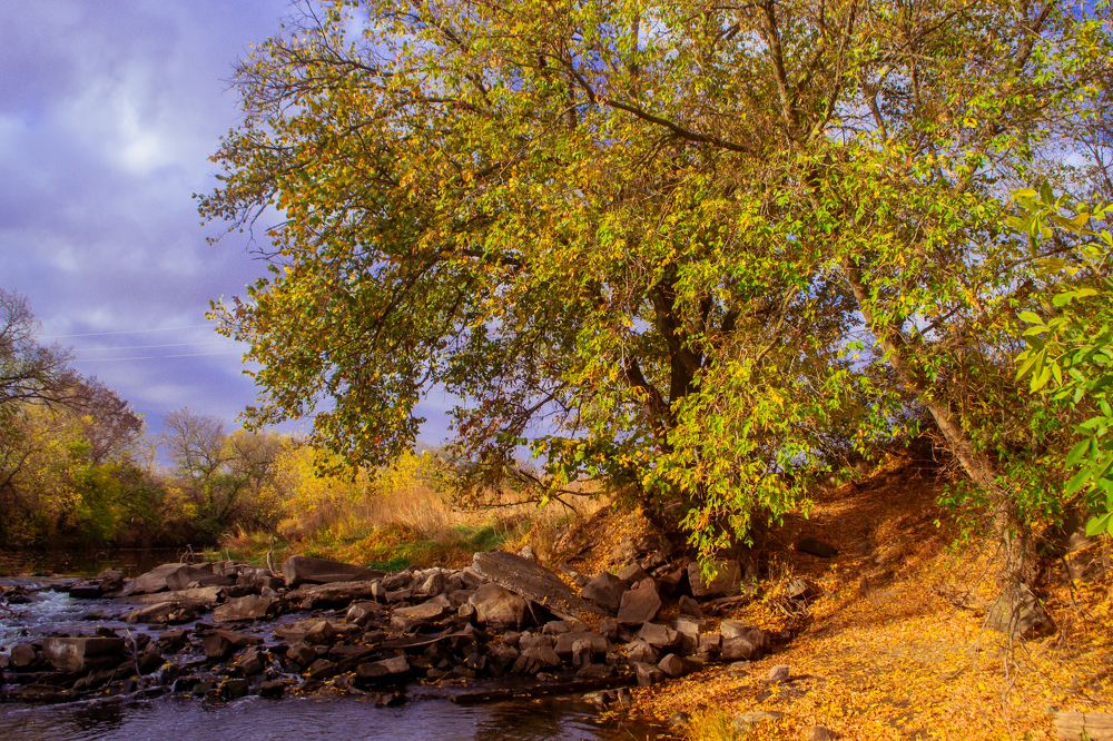 Photograph by Дмитрий Тютюнник