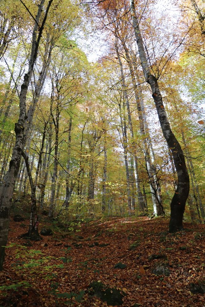 Photograph by Buket Demirel