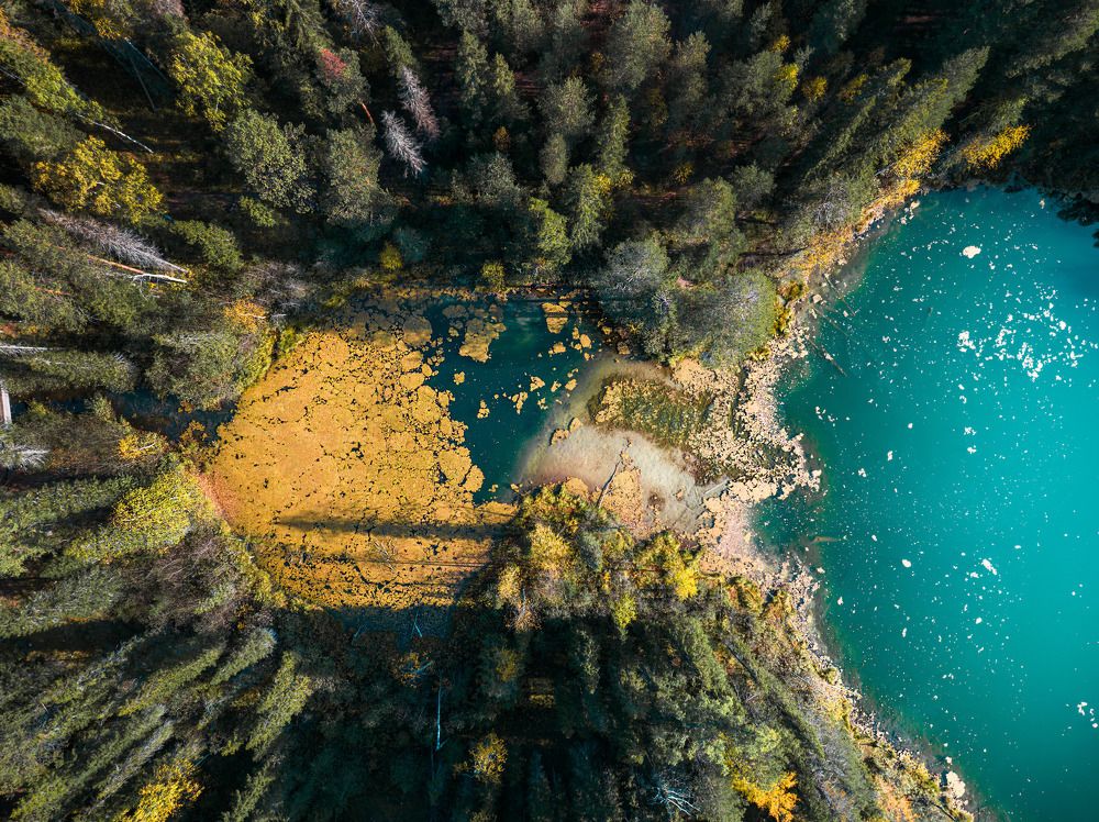 Photograph by Денис Гончаренко