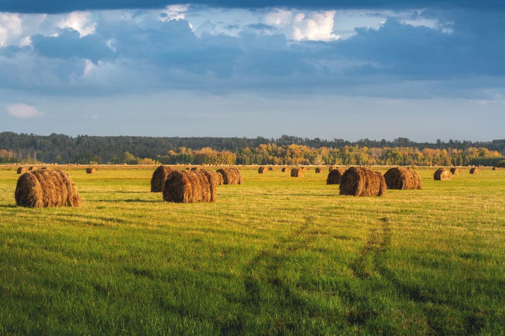 Photograph by Павел Гавриков