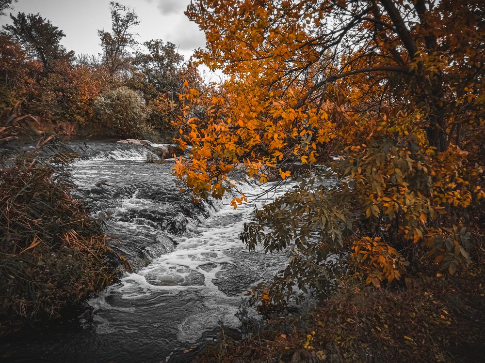 Photograph by Дмитрий Тютюнник