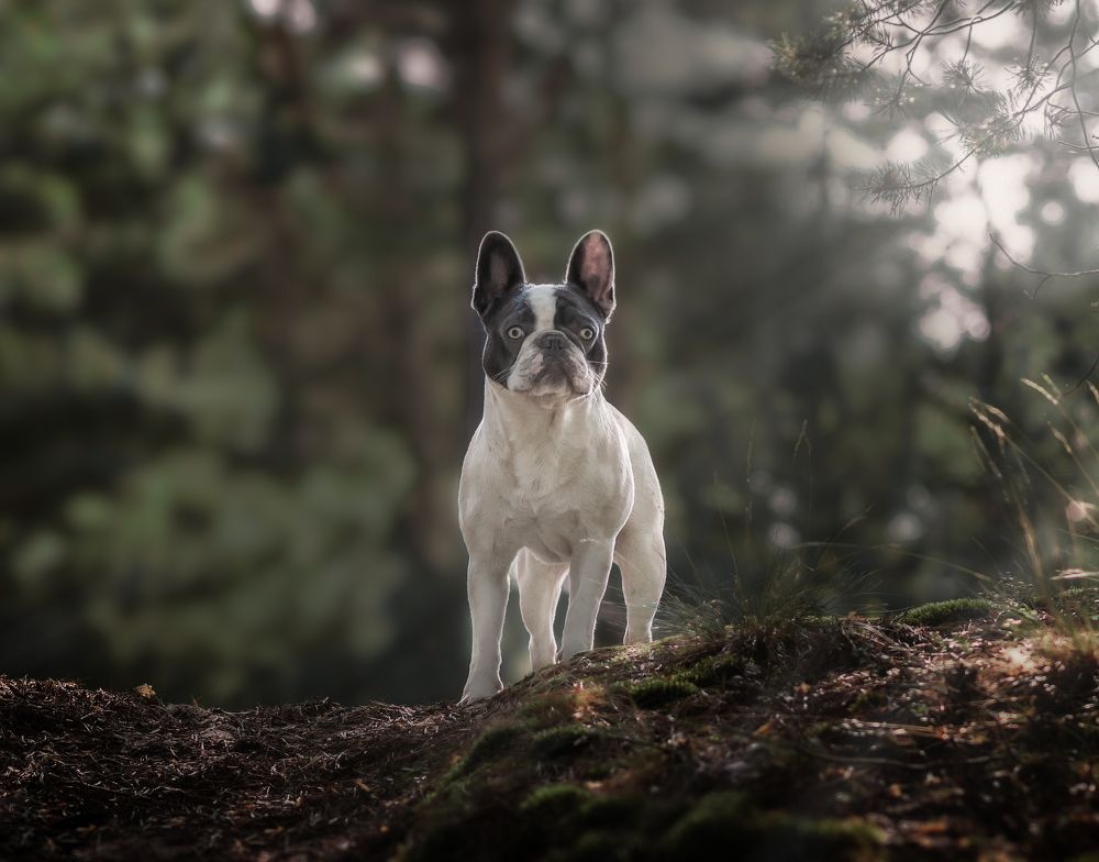 Photograph by Людмила Подольская