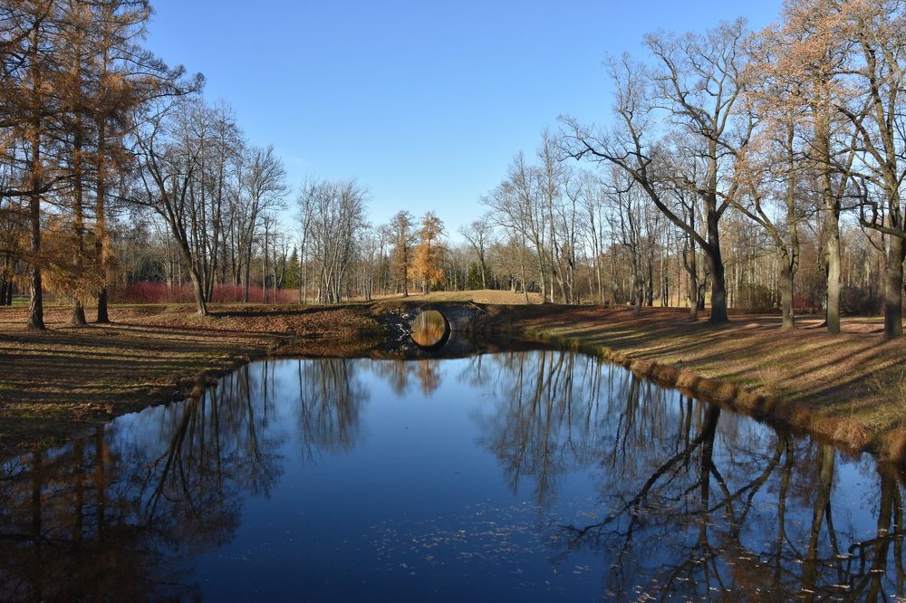 Photograph by Юлия Финогенова