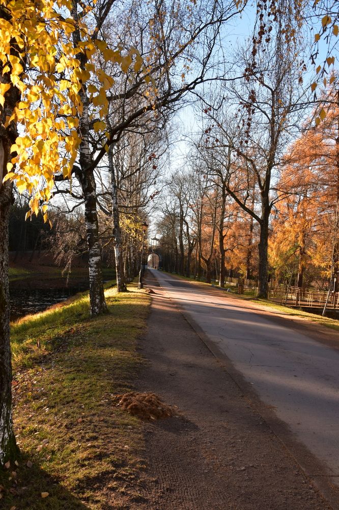 Photograph by Юлия Финогенова