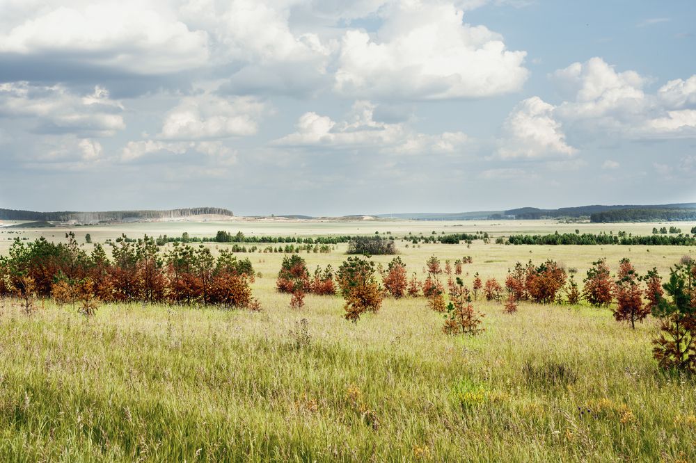 Photograph by Елена Гоосен