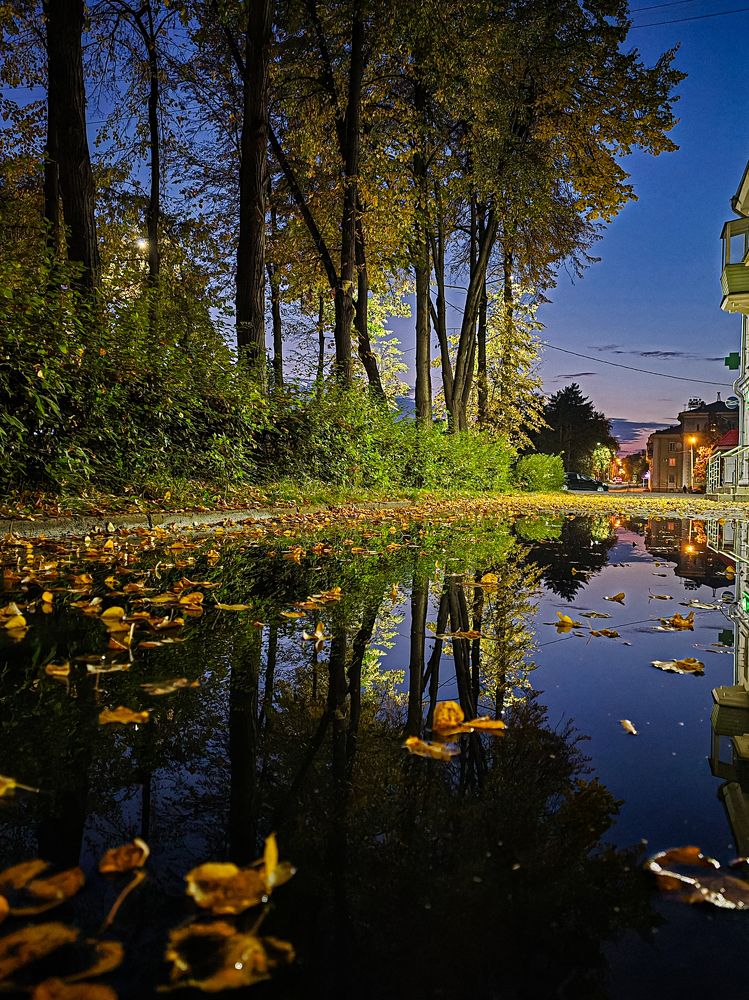 Photograph by Елена Ромашкина