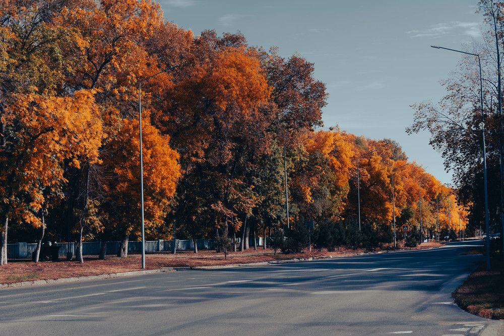 Photograph by Шеин андрей