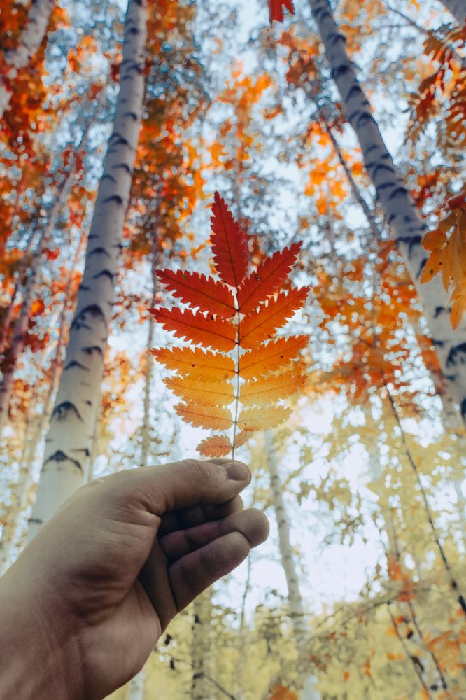 Photograph by Шеин андрей