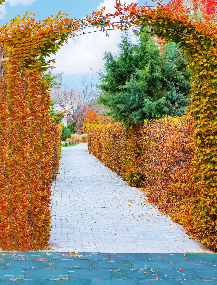 Photograph by Иван Логвинов