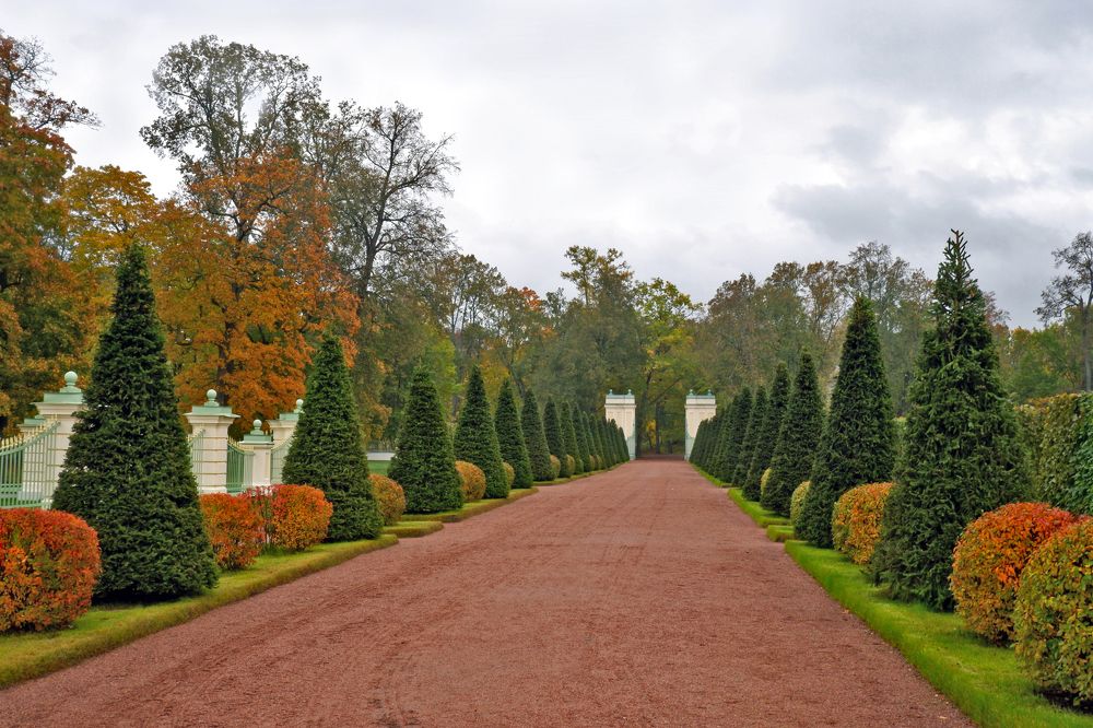 Аллея в парке.