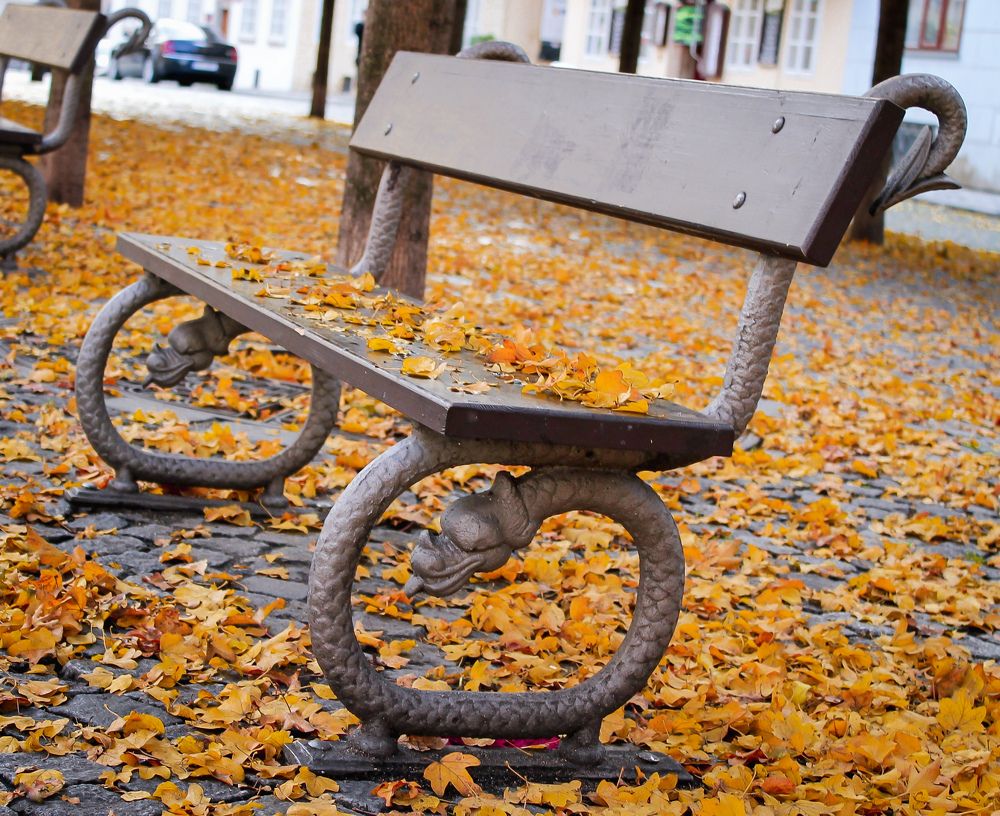 Photograph by Евгения Д