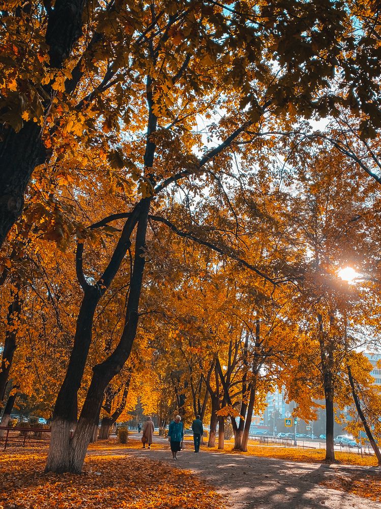 Осень в городе