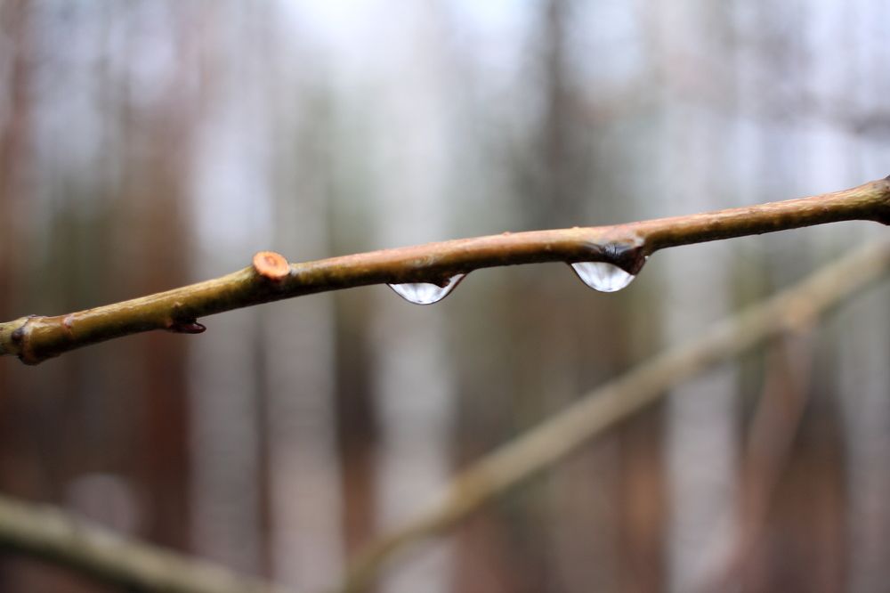 Photograph by Евгений Распопин
