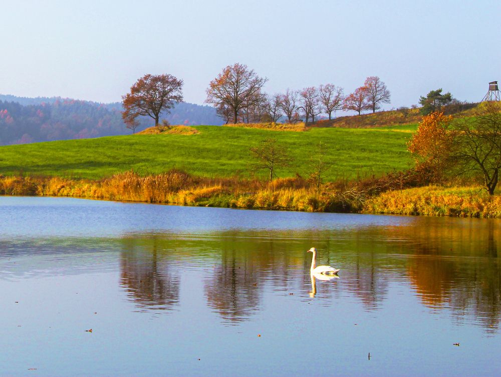 Photograph by Евгения Д