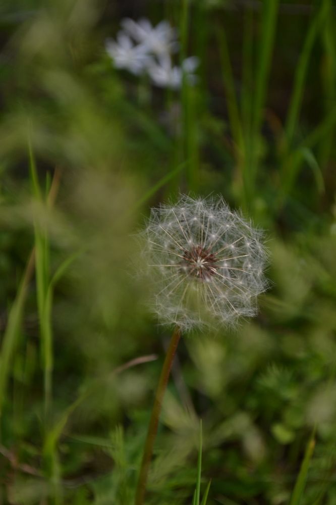 Photograph by Надежда Чаплынская