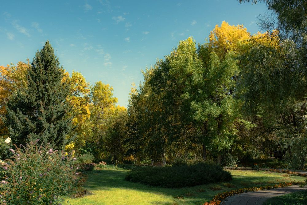 Photograph by Антон Вотяков