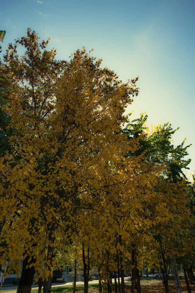 Photograph by Антон Вотяков