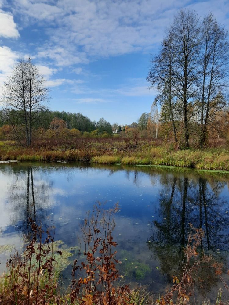 Photograph by Юлия Меркулова