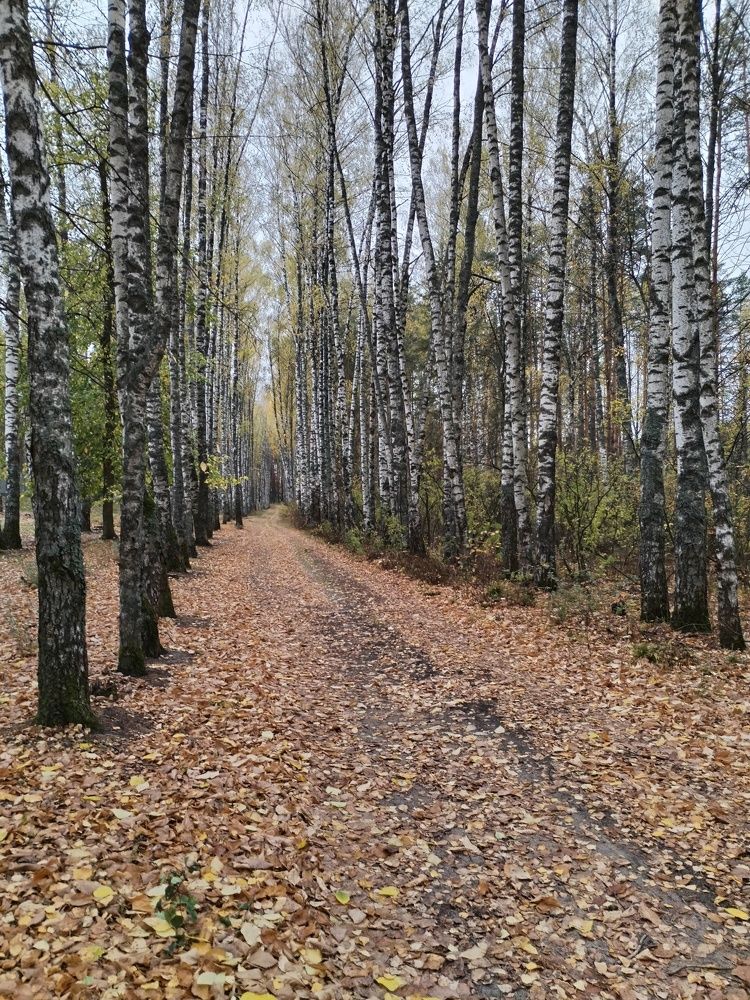 Photograph by Юлия Меркулова