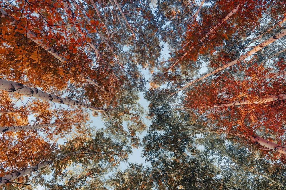 Photograph by Шеин андрей