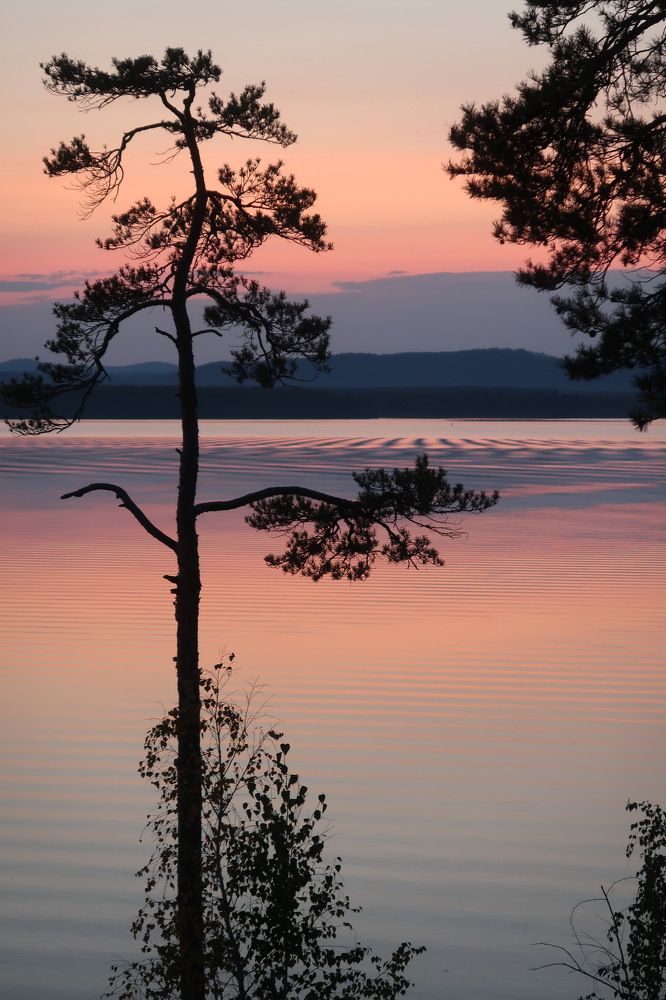 Photograph by Нина