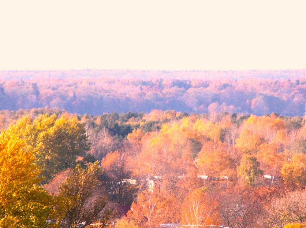 Photograph by Anna Baykova