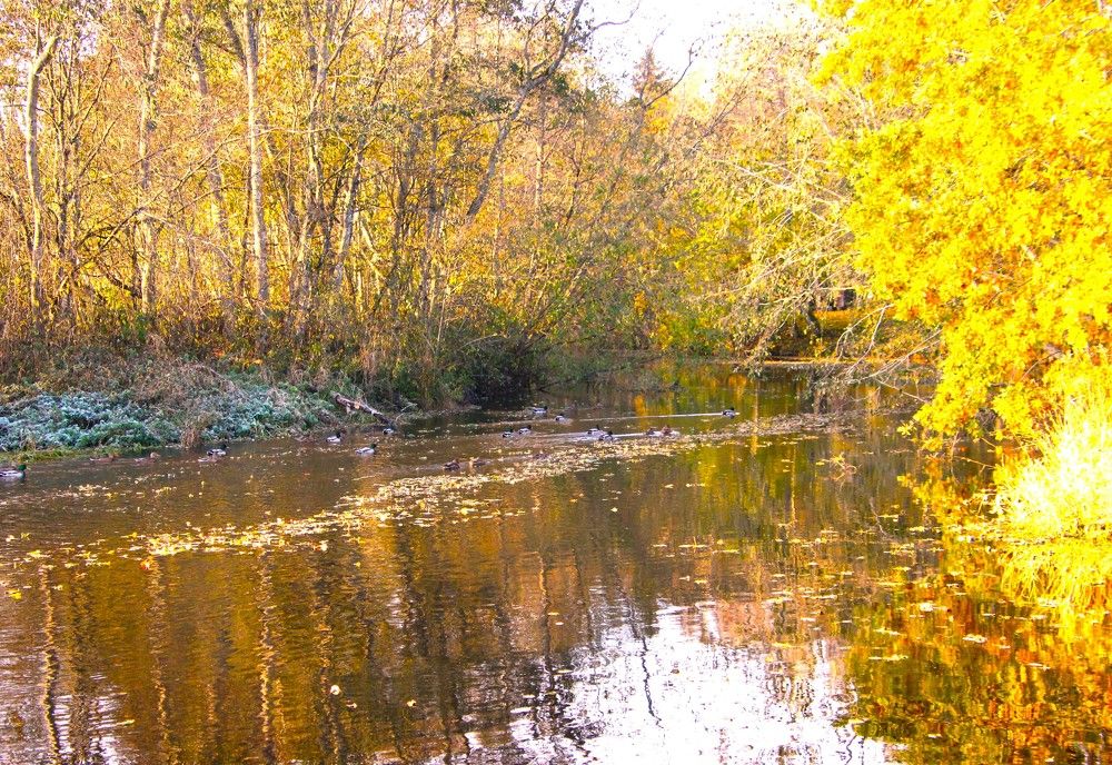 Photograph by Anna Baykova