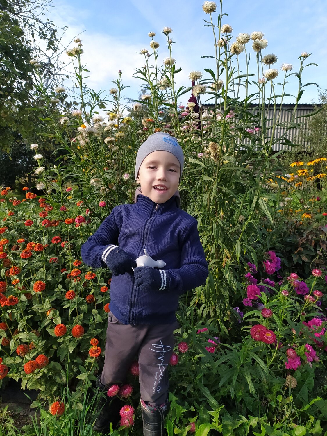 Photo #11071701