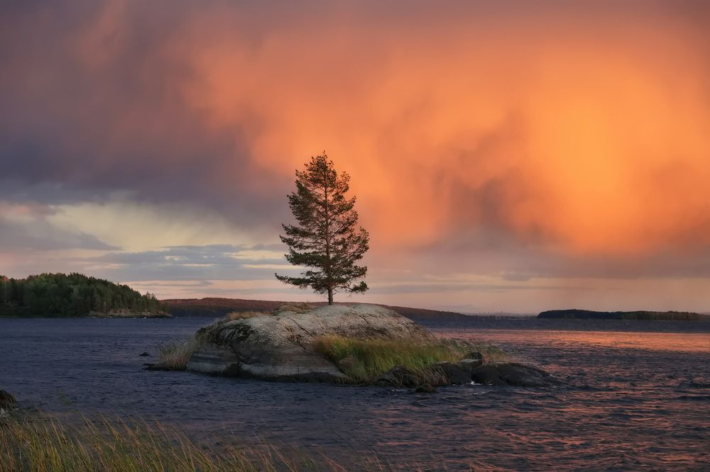 Photograph by Дмитрий Петухов