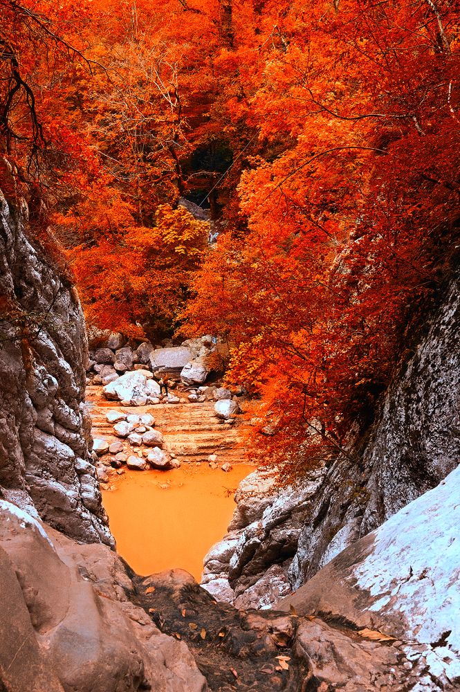 Photograph by Елена Репьева