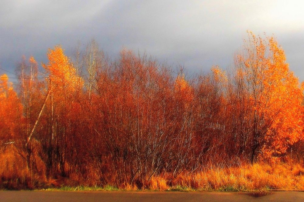 Фотография автора Вера,  Саша  Натан Фотогруппа ВЕСНА