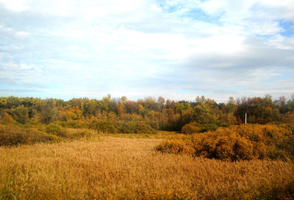 Photograph by Татьяна Иваненкова
