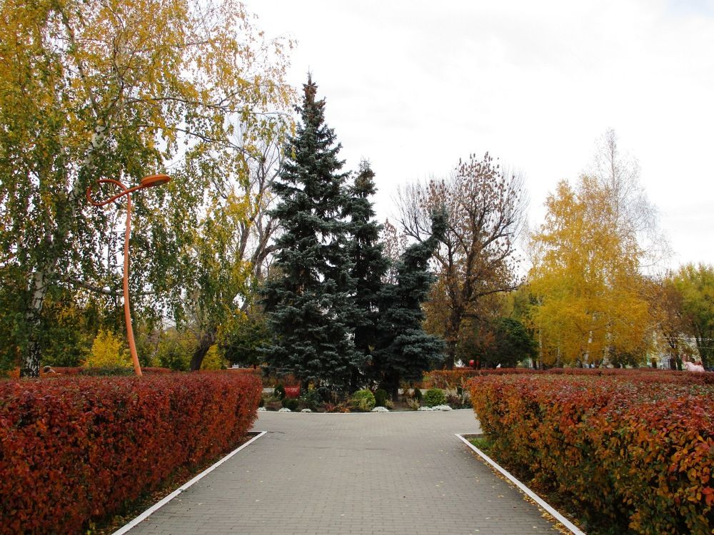 Photograph by Татьяна Иваненкова