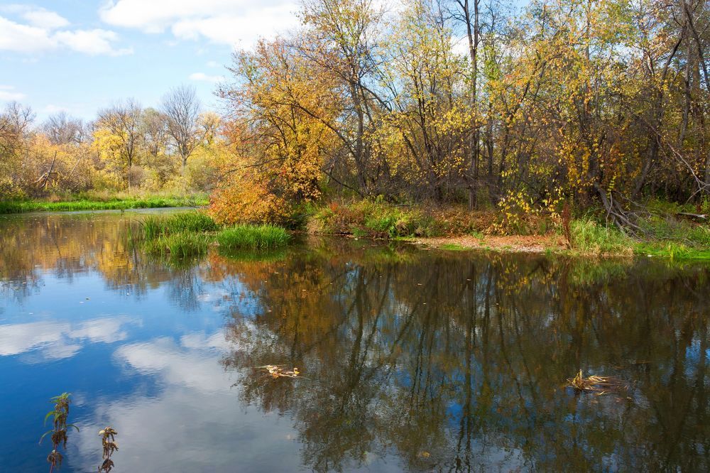 Photograph by Алексей Трухин