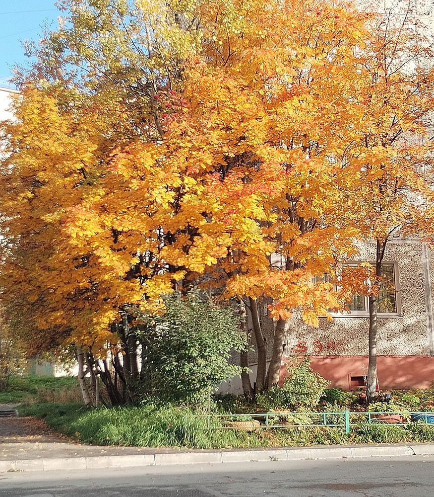 Photograph by Светлана Зотова