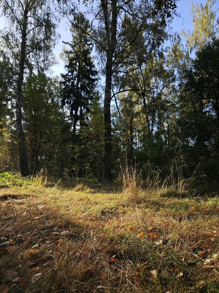 Photograph by Алексей Климов