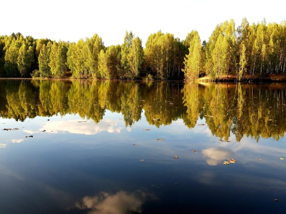 Photograph by Tatyana Busorgina