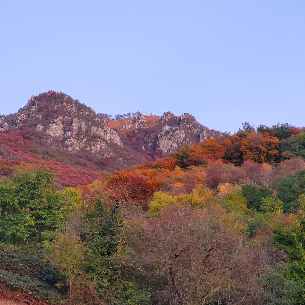 Photograph by Catherine Walter-Prêtre