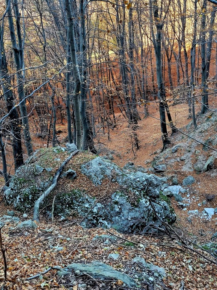 Photograph by Catherine Walter-Prêtre