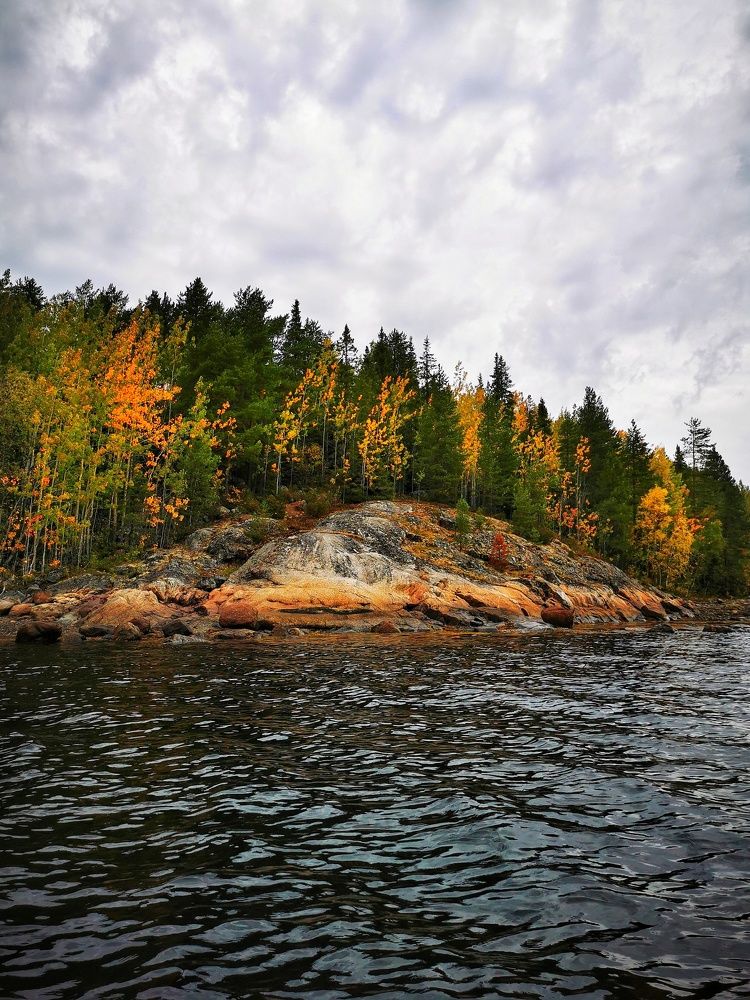 Photograph by Елена Артёменко