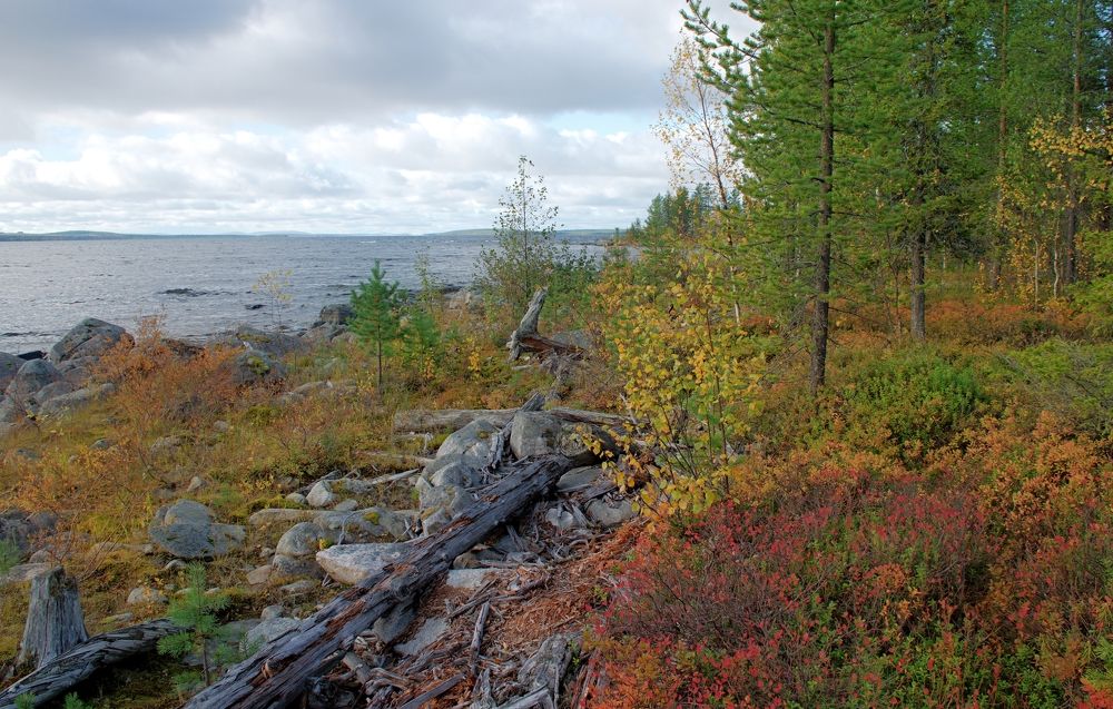 Photograph by Борис Чернов