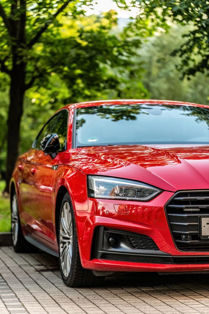 Photograph by Давид Смирнов