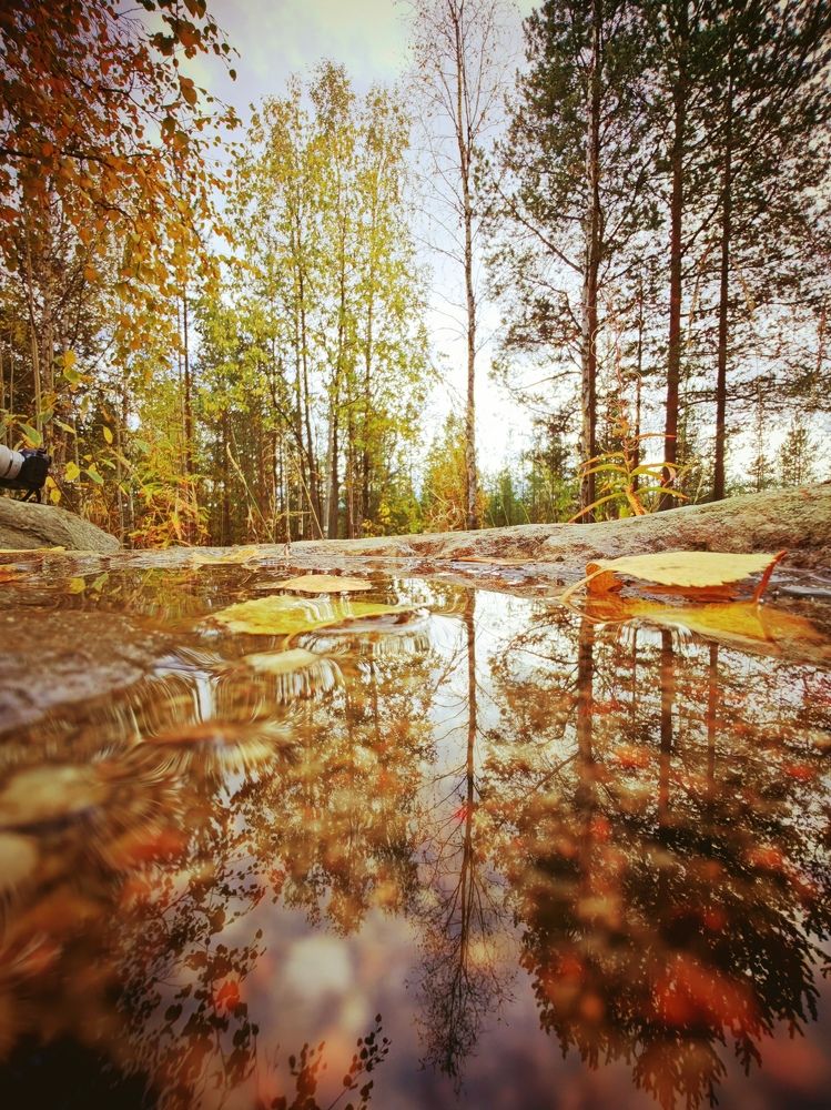 Photograph by Valentin Kolinko