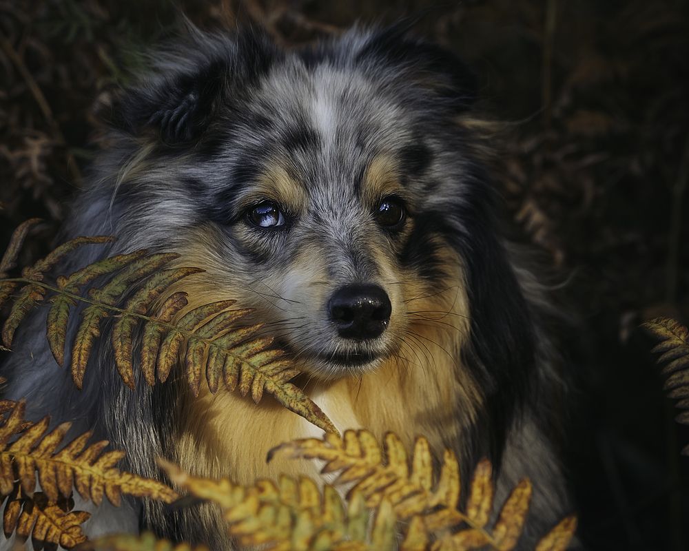 Photograph by Anna Sindikayeva